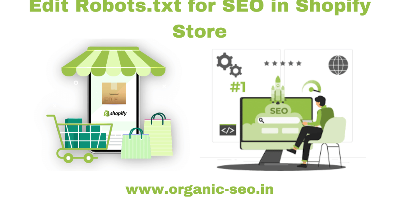 How to use robots.txt file in Shopify